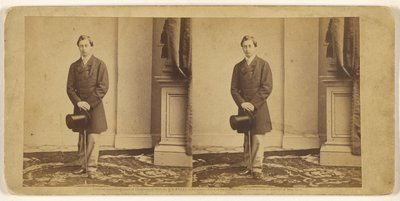 [Jovem não identificado, de pé, com cartola e bengala] de Mathew B. Brady