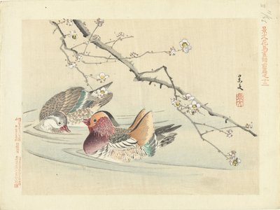 Dois patos Flower and Bird Sketches from Keibun- parte um (título da série) Caneta Keibun kacho gafu zen (título da série no objeto) de Matsumura Keibun