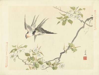 Duas andorinhas
Esboços de flores e pássaros por Keibun - parte um (título da série)
Keibun kacho gafu zenpen (título da série sobre o objecto) de Matsumura Keibun