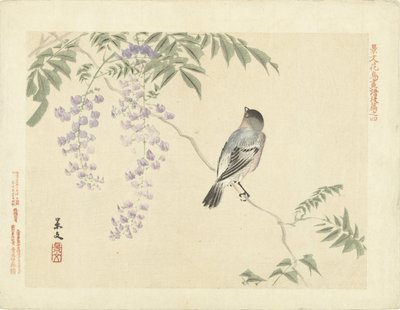 Pássaro no galho de glicínias Flower and Bird Sketches of Keibun - parte três (título da série) Keibun kacho gafu kohen (título da série no objeto) de Matsumura Keibun