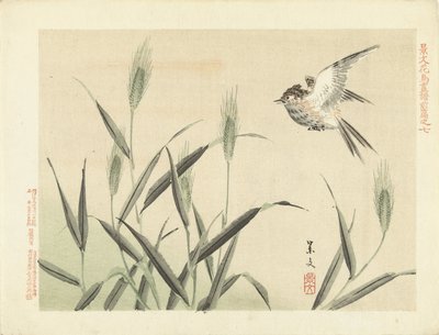 Pássaro voando em gramíneas Flower and Bird Sketches from Keibun- parte um (título da série) Caneta Keibun kacho gafu zen (título da série no objeto) de Matsumura Keibun