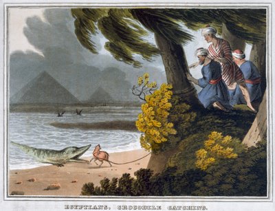 "Egípcios, Captura de Crocodilos", 1813 de Matthew Dubourg