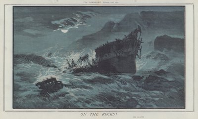 On the Rocks! (cor litho) de Matthew