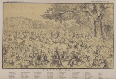 Fila podre (cor litho) de Matthew