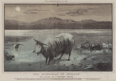 The Scape-Goat of Ireland; ou, The Shadow of a Hundred Wrongs (cor litho) de Matthew