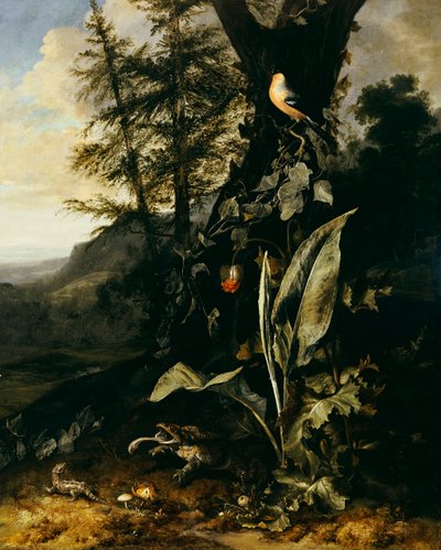 Um chão da floresta com um sapo e um lagarto, um Dom-fafe em um galho de Hera acima e uma montanha além de Matthias Withoos