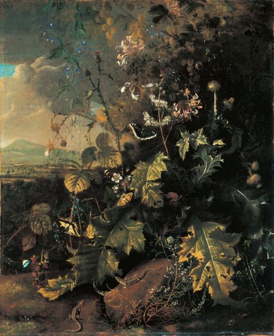 Chão da floresta com borboletas e lagartos de Matthias Withoos