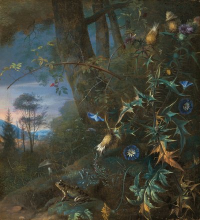 chão da floresta ainda vida com um sapo e um cogumelo, montanhas além de Matthias Withoos