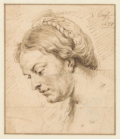 Cabeça da fêmea de Matthys van den Bergh