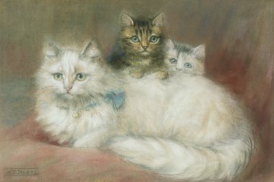 Um gato persa e seus gatinhos de Maud D. Heaps