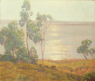 The Morning Sun, San Diego (óleo sobre tela) de Maurice Braun