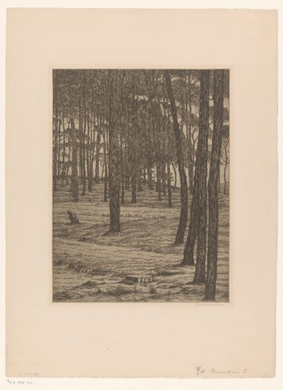 Dennenbosch I (título original no objeto) Bos (título original) de Maurits van der Valk (signed by artist)