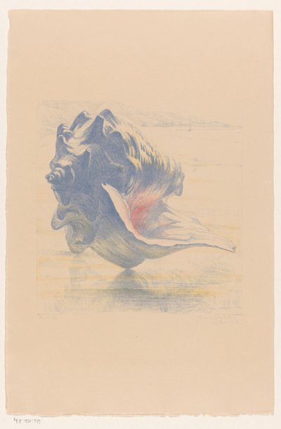 Esquema de Maurits van der Valk (signed by artist)