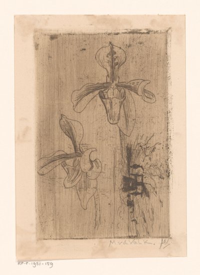 Duas orquídeas e um carrinho na praia de Maurits van der Valk (signed by artist)