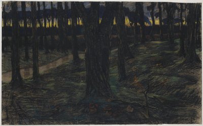 Vista da floresta ao pôr-do-sol de Maurits van der Valk