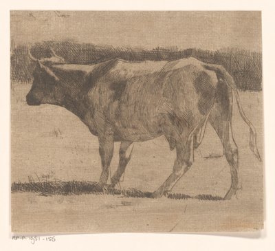 Vaca num prado de Maurits van der Valk