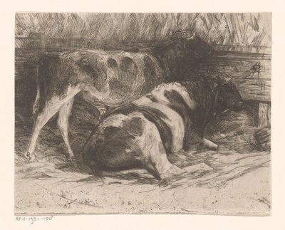 Vacas num estábulo de Maurits van der Valk