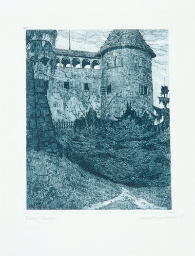 Castelo de Hallegg de Max Bradaczek
