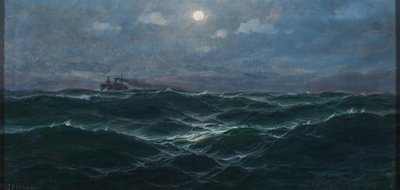 Alemão: Steamship on the high seas de Max Jensen