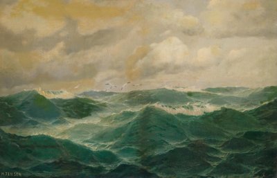Gaivotas sobre mares agitados de Max Jensen