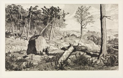 Simplicius na solidão da floresta (Intermezzi, opus IV, prancha 10) de Max Klinger