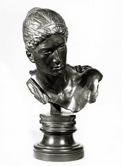 A cabeça da Cassandra, c.1895 (bronze) de Max Klinger