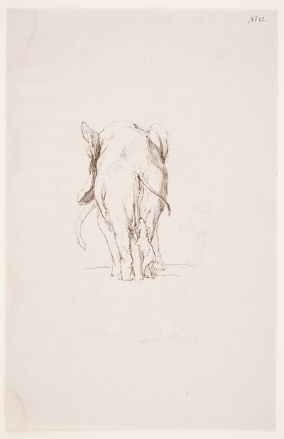 "Weg der Befleckung" - "Elefante e cão farejador" de Max Klinger