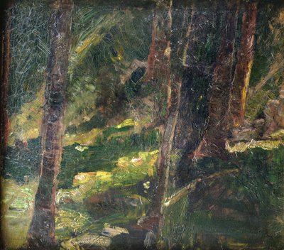Paisagem (óleo sobre tela) de Max Slevogt