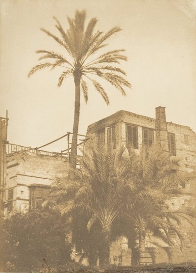 Palmeiras e Maison du Quartier Franc, Cairo, dezembro de 1849 a janeiro de 1850. de Maxime Du Camp