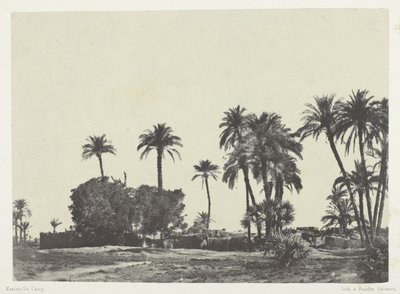 Aldeia de Hamameh, Alto Egito de Maxime Du Camp