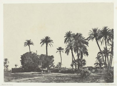 Aldeia de Hamameh, Alto Egito, 184951, impresso em 1852. de Maxime Du Camp