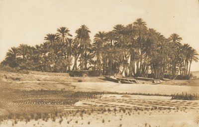 Vista da Ilha Elefantina, em frente a Aswan, 1849-50. de Maxime Du Camp