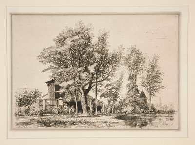 Árvores de Acácia de Maxime Lalanne