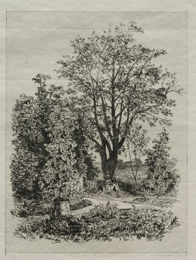 No meu jardim de Bordeaux de Maxime Lalanne