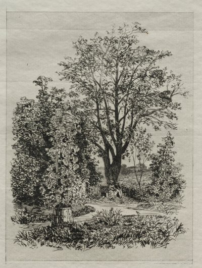 Meu jardim. de Maxime Lalanne