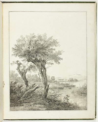 Estudos de árvores para paisagistas iniciantes de Maximilian Josef Wagenbauer