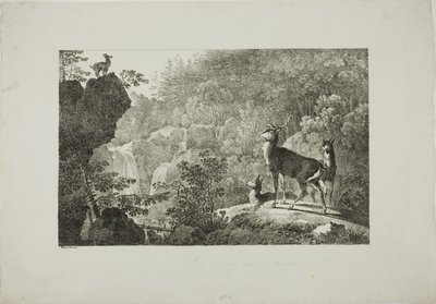 O veado e a camurça de Maximilian Josef Wagenbauer