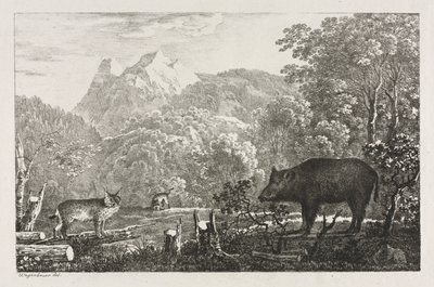 Javali, gato selvagem e lince de Maximilian Josef Wagenbauer
