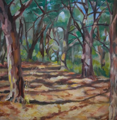 Caminho na floresta salpicado de luz de Maxine Shore