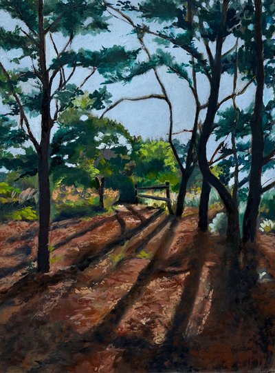 Trilha na Floresta: Sombras Longas de Maxine Shore