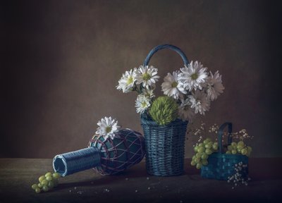  de May G