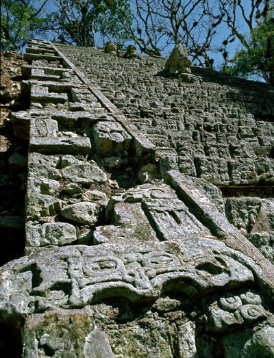 Vista da Escada Hieroglífica, 743 d.C. de Mayan