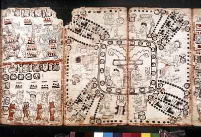 CIVILIZAÇÃO MAYA: Codex Tro-Cortesiano, meados do século XV (fibra de casca de árvore-vegetal) de Mayan Mayan