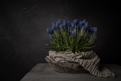 Flores azuis rústicas de Mayra Pama