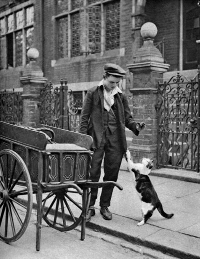 Homem de carne de gatos, Londres, 1926-1927 de McLeish