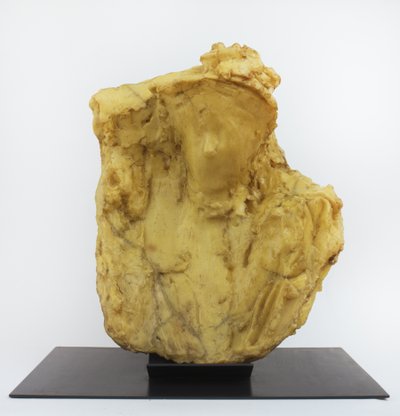 Senhora com véu de Medardo Rosso