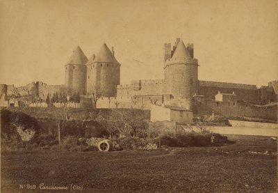 Carcassonne de Mederic Mieusement