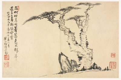 Paisagens em vários estilos depois dos velhos mestres, 1690. de Mei Qing