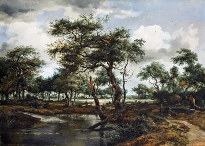 Uma lagoa na floresta, 1668 (óleo sobre painel de carvalho) de Meindert Hobbema