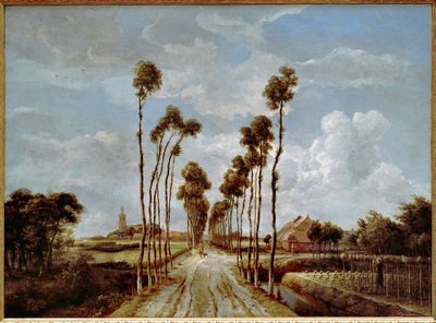 A avenida de Middelharnis (óleo sobre tela) de Meindert Hobbema